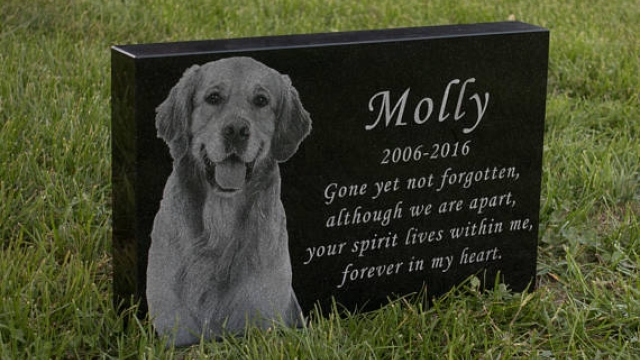Forever Remembered: Honoring Our Beloved Pets in Eternal Memorials
