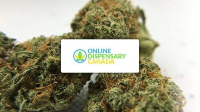 Cannabis Convenience: Exploring the World of Online Dispensaries