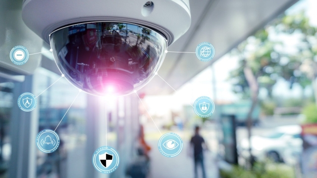 The Eye in the Sky: Unveiling the Role of Security Cameras