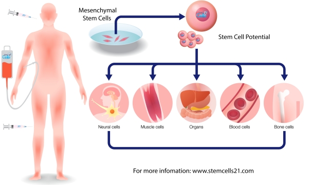 Revolutionizing Medicine: The Power of Stem Cell Therapy