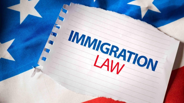 Navigating the Immigration Maze: A Comprehensive Guide to Immigration Law