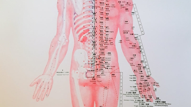 The Ancient Art of Healing: Unveiling the Mysteries of Acupuncture