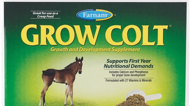 Unleashing the Power of Horse Health Supplements: A Guide to Happy and Healthy Equines