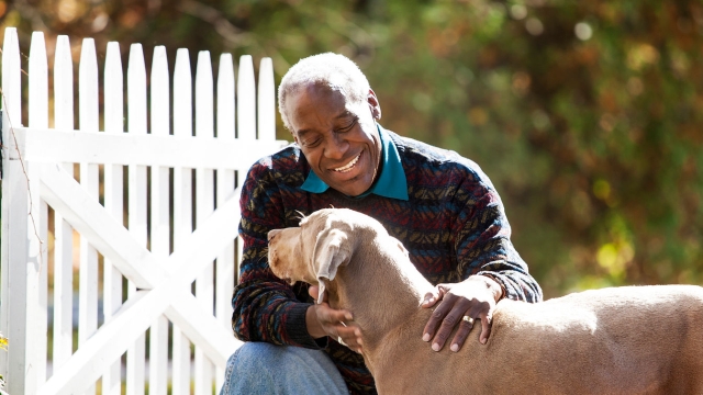 Paws and Claws: Unleashing the Joy of Pet Parenthood