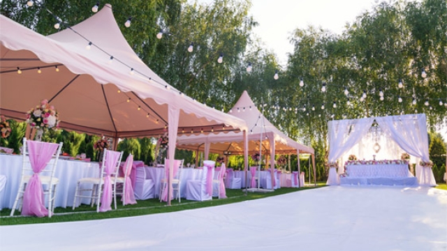 Unforgettable Celebrations: Transform Your Event with Unique Party Rentals!