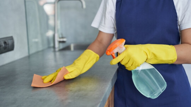 DIY or Professional? The Cleaning Service Dilemma