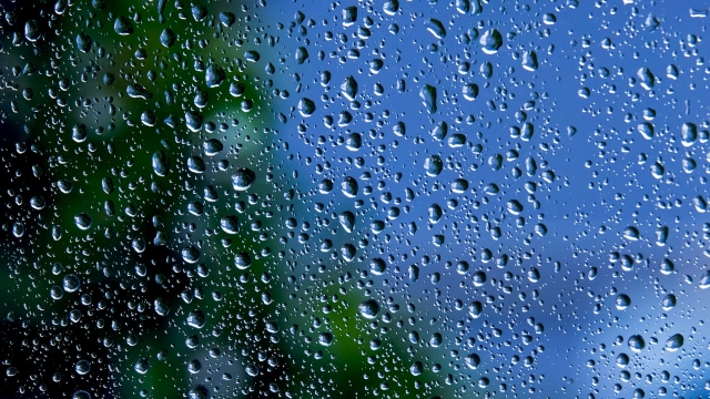 The Benefits of Professional Window Cleaning Services