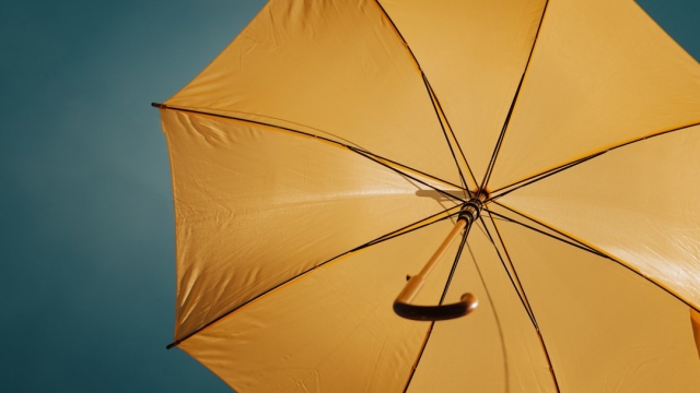 Overview of Business Insurance in Arizona When comes