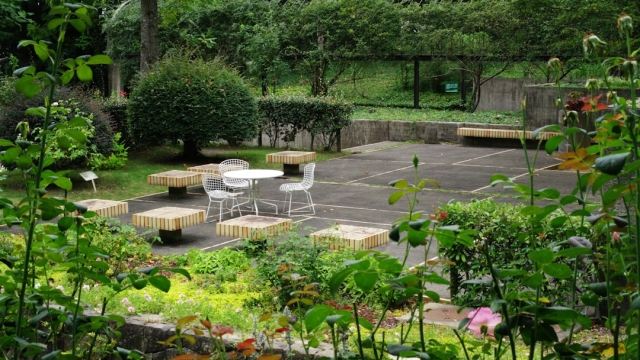 Overview of Paver Systems Types and Benefits