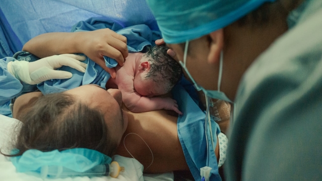 Understanding Maternal Wellness The Importance of Emotional and Physical Health
