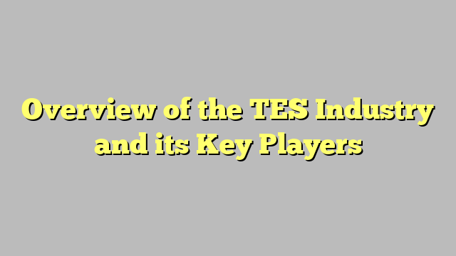 Overview of the TES Industry and its Key Players